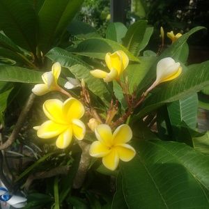 Meet your Posher, Jd